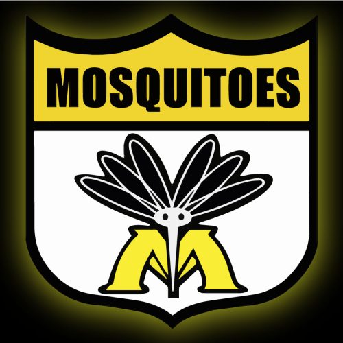 Manchester Mosquitos