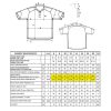 Ladies Polo-01 Ladies Polo-01
