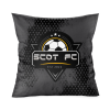 SCOT FC online range image_cushion