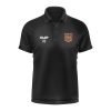 Ashton villa polo