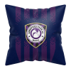 Away Cushion