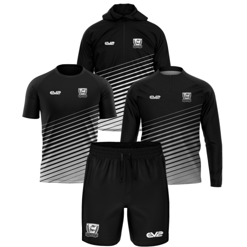 Silver Bundle 2 - Flash