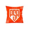 PSA FUTSAL_CLUB SHOP IMAGES_CUSHION 1